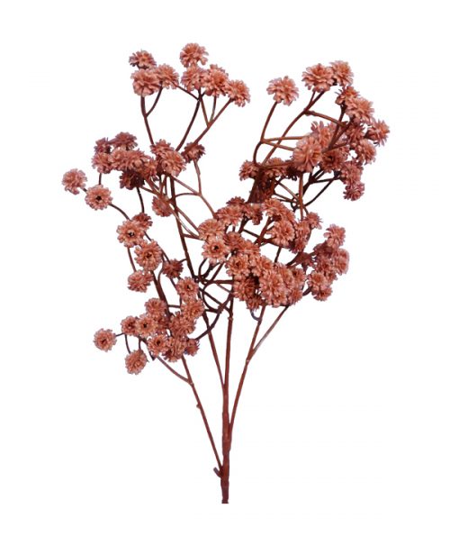 Dry Baby’s Breath Spray-H60cm (210456) – SunEnergy Floral